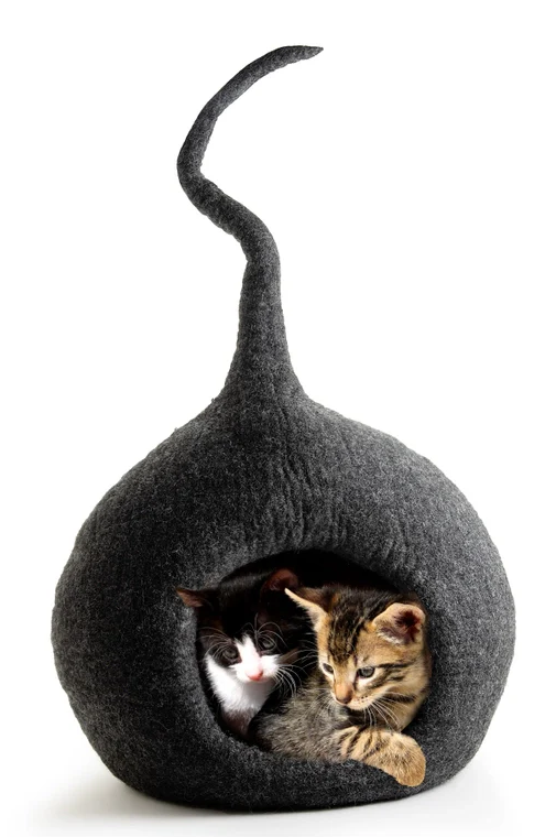 Cuccia per gatti