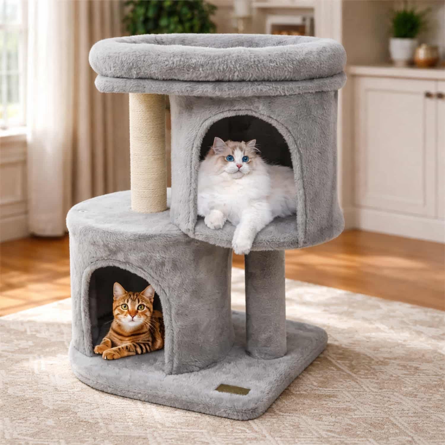 Torre per gatti compatta da 66 cm, con 2 casette recintate e tiragraffi in sisal.