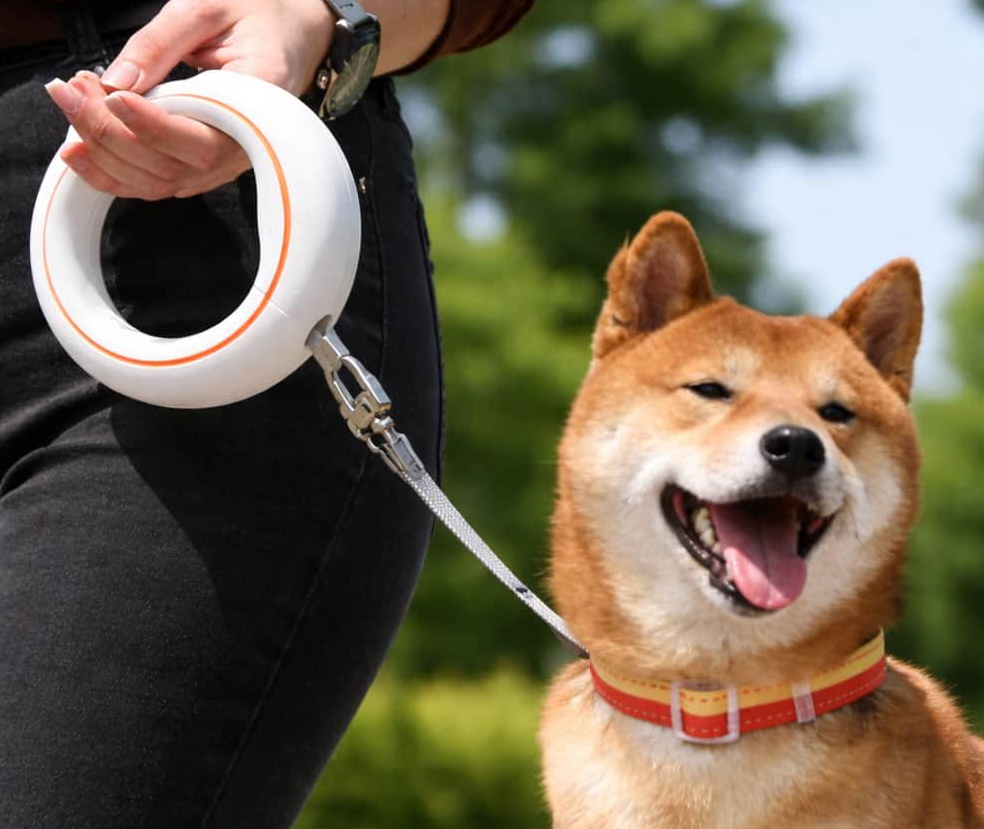 Guinzaglio per cani a forma di UFO indossabile con anello da polso e rotazione a 360°.