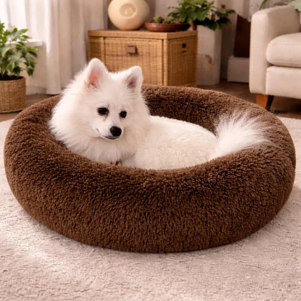 Cuccia rilassante a forma di ciambella per animali domestici, con bordo rialzato per il supporto del collo, imbottitura in cotone PP, lavabile in lavatrice.