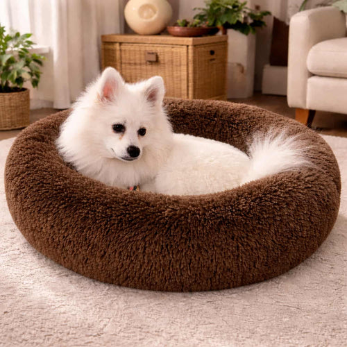 Cuccia rilassante a forma di ciambella per animali domestici, con bordo rialzato per il supporto del collo, imbottitura in cotone PP, lavabile in lavatrice.